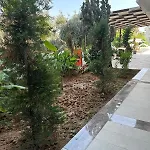 Lara Olympos Antalya